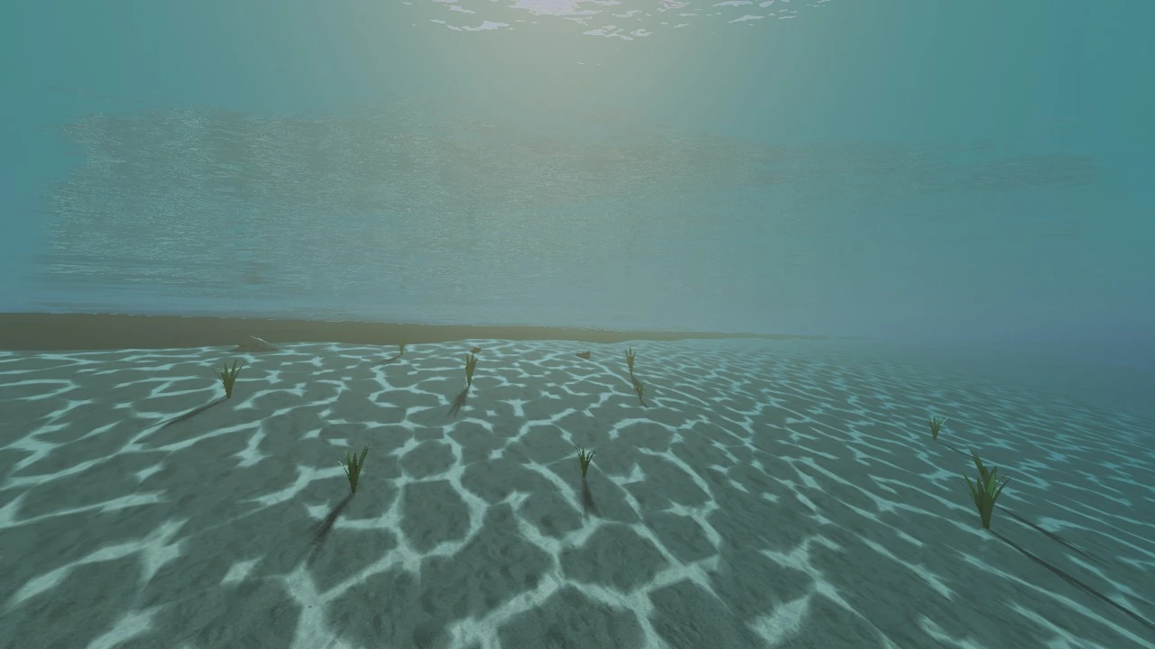 Underwater clear-shallows view from the Mac Metal water showcase.